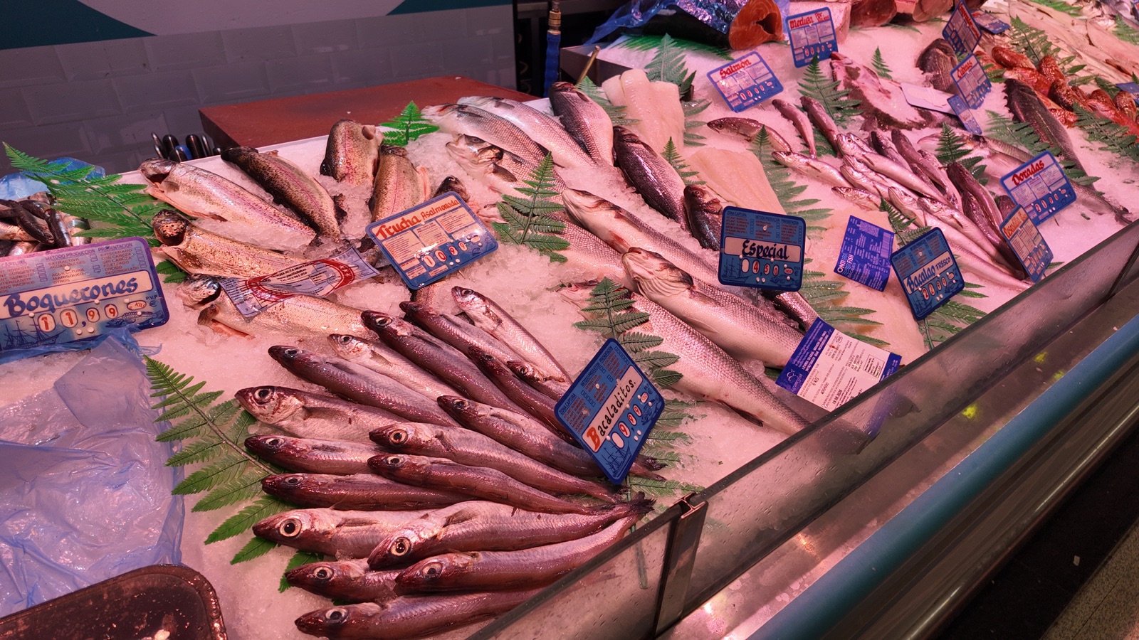 Selección de pescado fresco del día