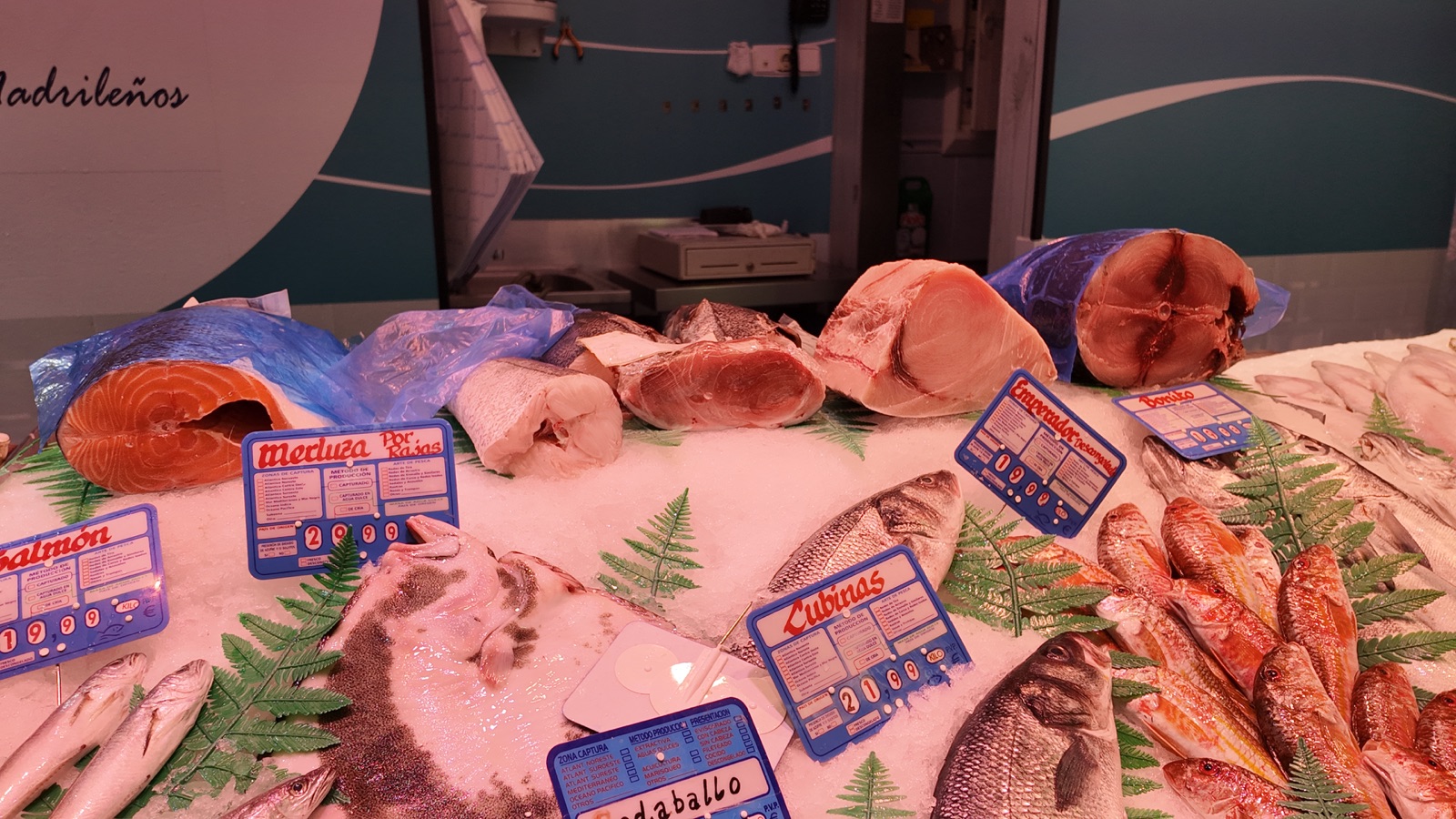 Salmón, merluza, pez espada y pescado fresco en la pescadería
