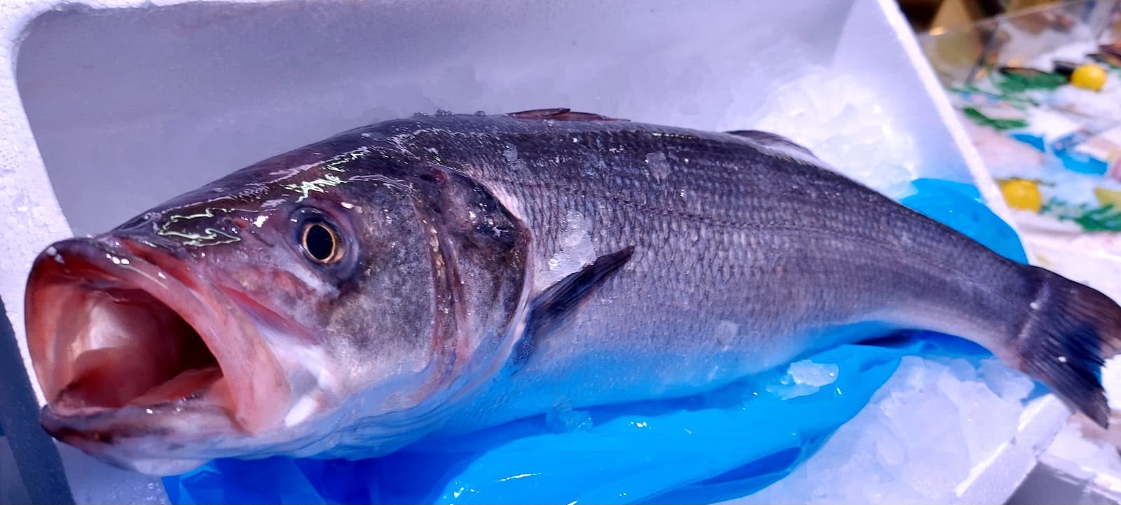 Pescado fresco seleccionado por Puerto Marín